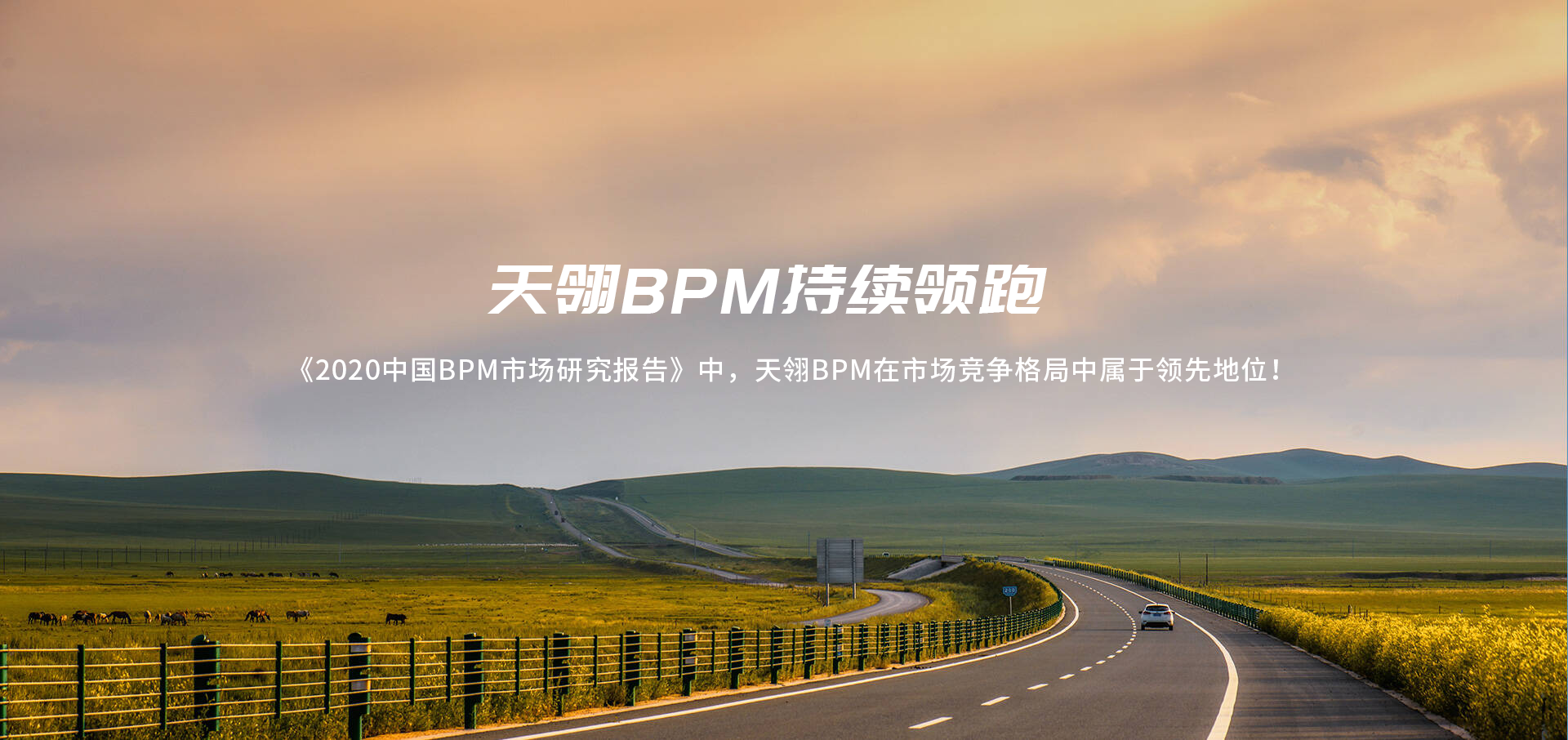 bpm行业报告