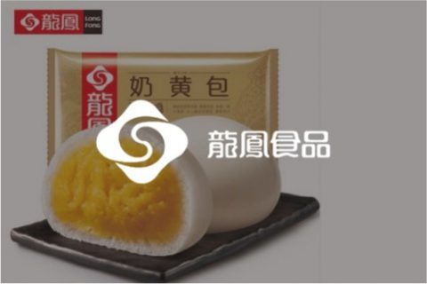 龙凤食品 - 财务管理系统